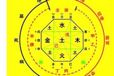 澳洲五行|澳大利亚的八字命理与五行分析观点